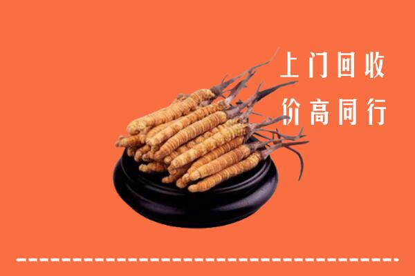 高价求购：余江区回收散虫草