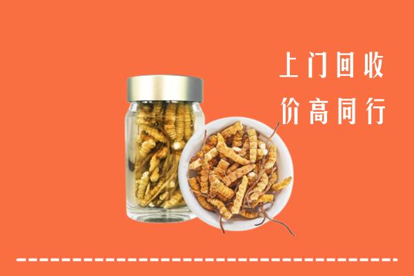 余江区回收冬虫夏草