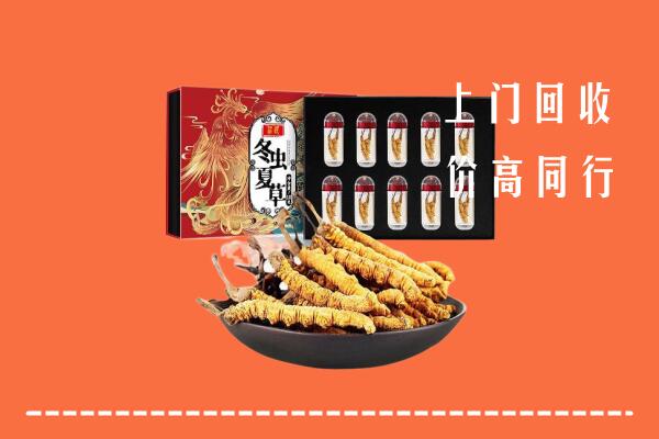 余江区回收虫草